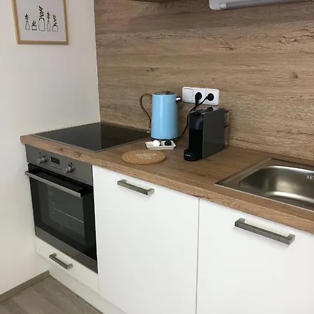 Apartmany Skuherskeho Czeskie Budziejowice