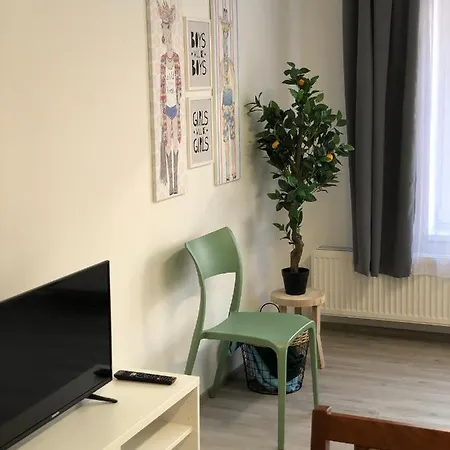 Apartmany Skuherskeho Czeskie Budziejowice