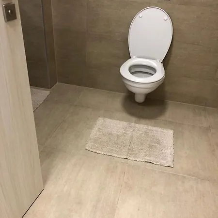 Apartmany Skuherskeho Apartament Czeskie Budziejowice