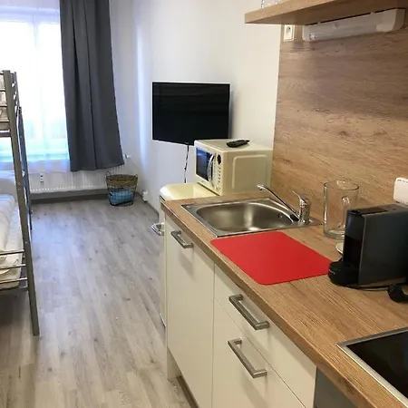Apartmany Skuherskeho Czeskie Budziejowice